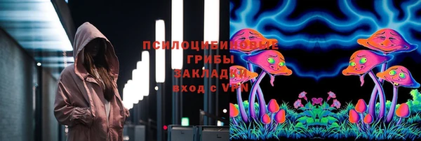 дмт Каменск-Шахтинский