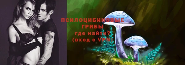 прущая мука Каменногорск