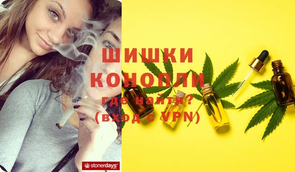 прущая мука Каменногорск
