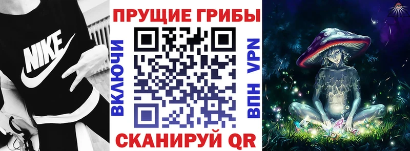 Купить где  Дубовка  Псилоцибиновые грибы Psilocybe 